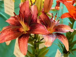 Foto: Dr. Peter Müller